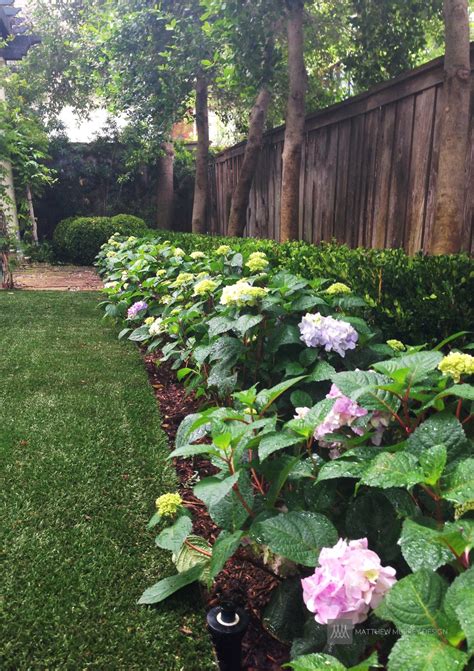 landscape ideas  solutions  shade