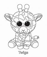 Beanie Coloring Pages Boo Ty Visit Baby Birthday sketch template