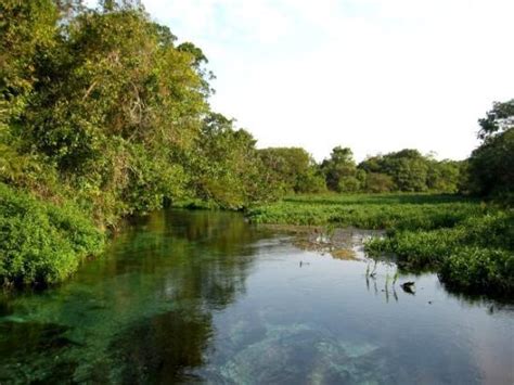 pantanal brasilien picture of bonito state of mato grosso do sul tripadvisor