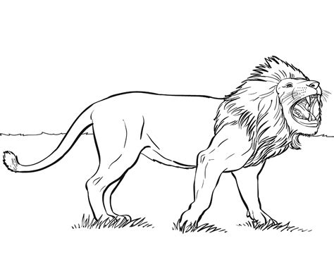 roaring lion drawing  getdrawings