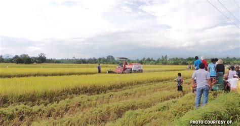 negocc prepares farmers for rice tariffication