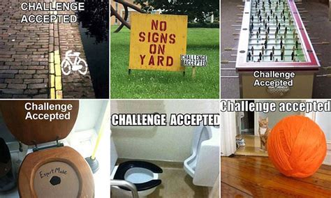 funny memes of the challenge accepted social media trend daily mail online