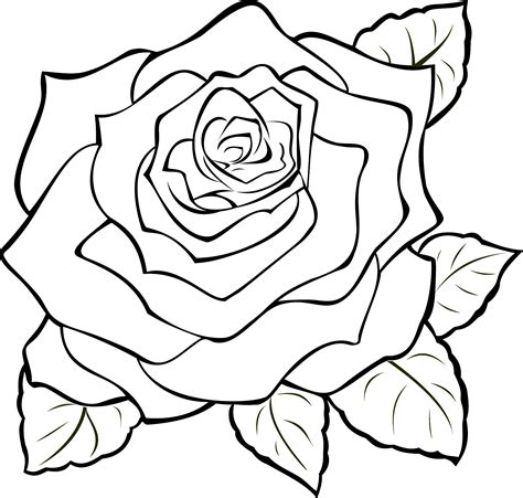 eletragesi easy flower drawing outline images