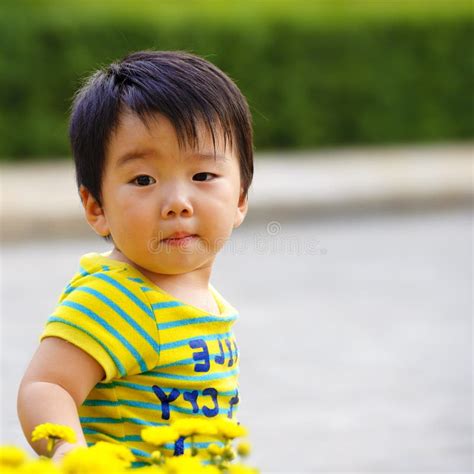 cute baby  playing stock image image  photography