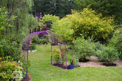 Fun Hardscape And Plants In Jeanne S Garden In Washington