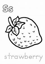 Strawberry Coloring Pages Worksheets Printable Strawberries Kids Fruits Parentune Getcolorings Books sketch template
