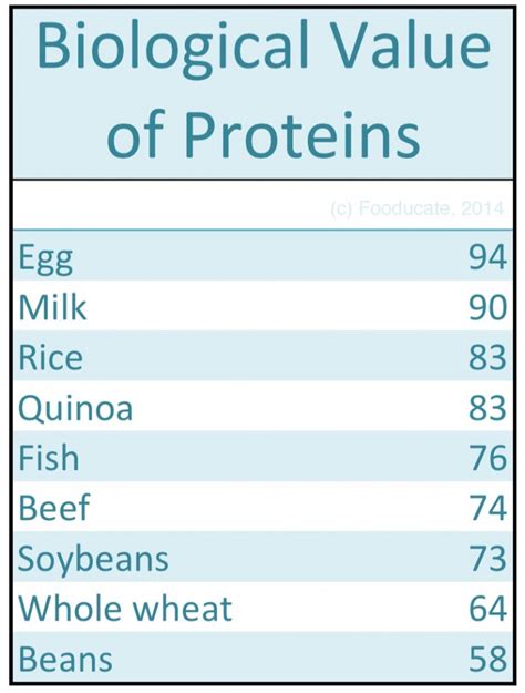 proteins biological      important fooducate