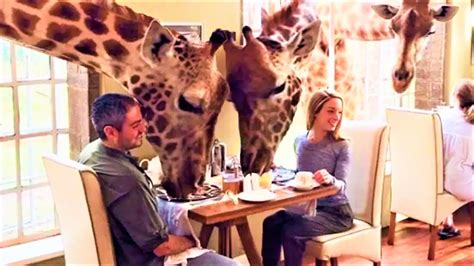 10 most unusual restaurants in the world youtube