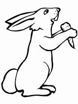 Rabbit Coloring Pages Printable Kids Bunny Bestcoloringpagesforkids Hase Zum Ausmalbild Rabbits Von Baby Kaninchen Ausmalbilder Und Cute Ausmalen Möhre Mit sketch template