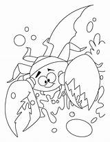 Coloring Crab Grab Pages Library Clipart sketch template