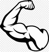 Muscles Biceps Bicep Otot Muskel Flexing Bisep 1113 Emoji Lengan Skeletal Flexed Surfer Emoticon sketch template
