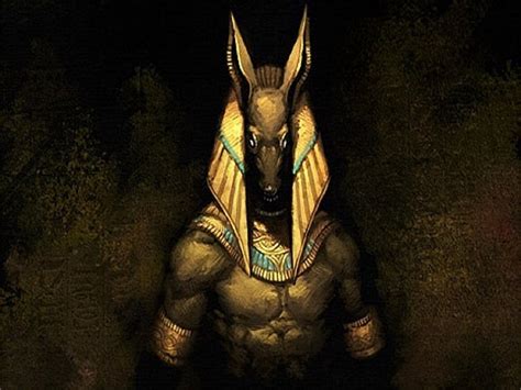 anubis wallpaper and background image 1280x960 id 440519 wallpaper abyss