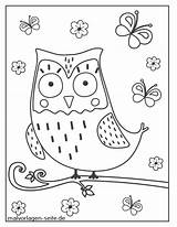 Owl Eulen Owls Ausmalbilder Verbnow Schmetterlingen Eule sketch template