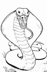 Coloring Cobra King Pages Snake Hissing Color Drawing Kids Colouring Drawings Play Sketch Creature Terrifying Print Choose Board Popular Animal sketch template