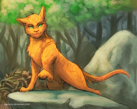 firestar exploring  kayomin  deviantart