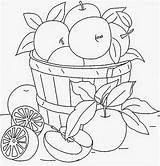 Coloring Fruit Pages Books Embroidery Patterns sketch template