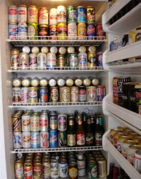 dreamology beer fridge