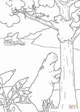 Klettern Coloring Lars Eisbär Baum Der Auf Den Kleine Designlooter Das Flusspferd Bild Klick Und 72kb 794px sketch template