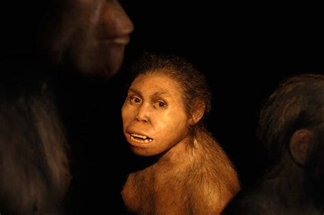 mystery hominin had sex with ancestors of neanderthals and