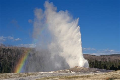 experiencing the old faithful geyser basin jackson hole traveler