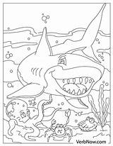 Sharks Verbnow sketch template