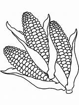 Coloring Corn Pages Vegetables sketch template