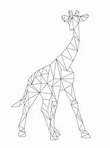 Geometrische Giraf Vormen Formen Malvorlage Tekeningen Kleurplaten Stimmen Ausmalbild Stemmen sketch template