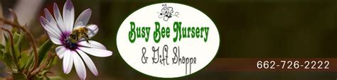 Busy Bee Nursery Bee Nursery Busy Bee Nursery
