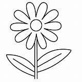Flower Coloring Pages Books Coloringpages Last Printable sketch template