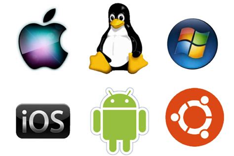 types  operating systems  examples  update web