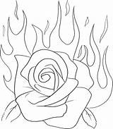 Coloring Pages Bouquet Rose Getcolorings Flower sketch template