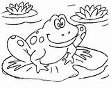 Tadpole Coloring Getdrawings Frog sketch template