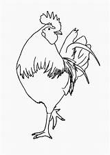 Cocos Colorat Planse Rooster Desene Mewarnai Ayam Roosters Cocosi Chickens Animale Domestice Trafic Mancare Pelea Gallos Educative Cocosul sketch template