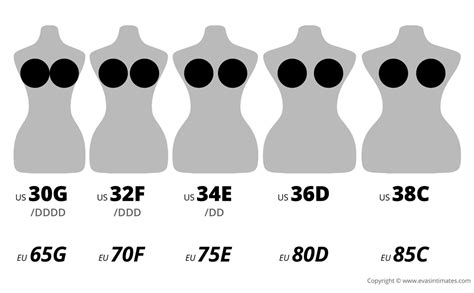 bra size charts and conversions accurate guide with images