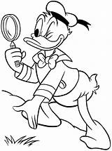 Coloring Duck Donald Pages Previous sketch template