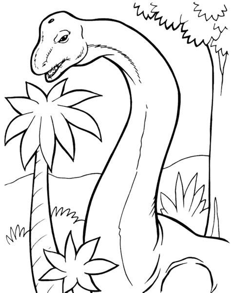 brachiosaurus coloring sheets  kids ages  years  older