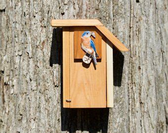 black capped chickadee cedar bird house houtbewerking
