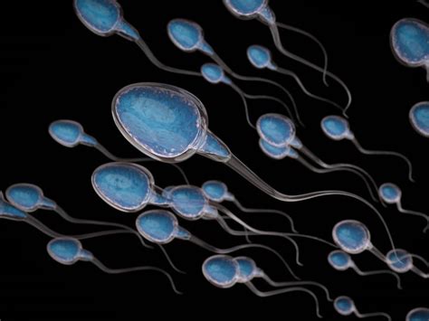 sperm counts are down but it doesn t mean there s a male fertility