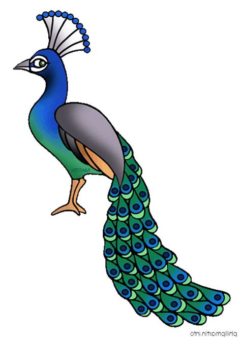 free peacock clipart