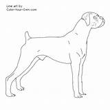 Boxer Dog Coloring Pages Dogs Color Boxers Line Colouring Drawings Own Printable Adult Choose Board sketch template