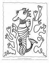 Printable Seahorse Library Clipart Illustration sketch template