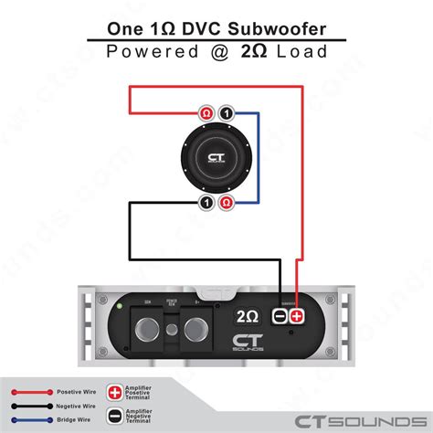 wiring dvc subwoofers subwoofer wiring wizard   pair  wire leads  speaker wire