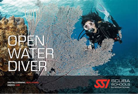 open water abyss dive center