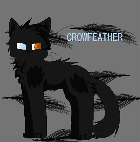 crowfeather  sandpoolwarriors  deviantart