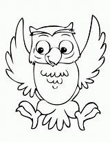 Owl Outline Drawing Coloring Popular Pages sketch template