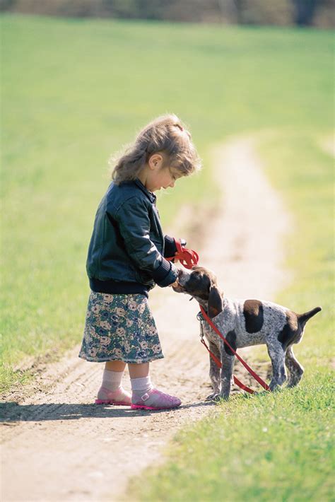 benefits  walking  dog dogslife dog breeds magazine