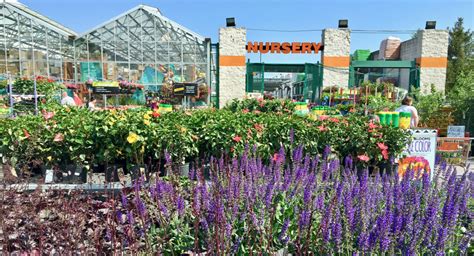 home depot garden club join   coupons couponing