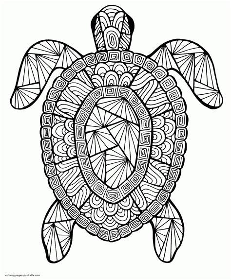 turtle coloring pages  printable