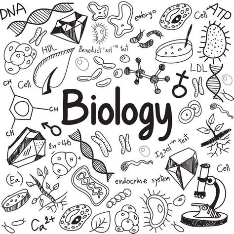 pin  jessica baldwin  biology lesson ideas biology poster