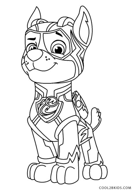 paw patrol mighty pups logo rocky speelgoed migthy